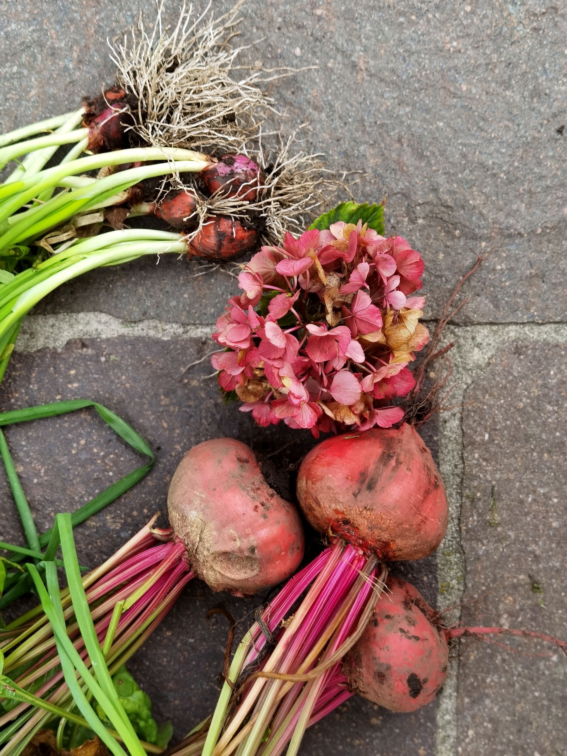 Colorful display of freshly harvested beets, scallions, and flowers on a stone surface.